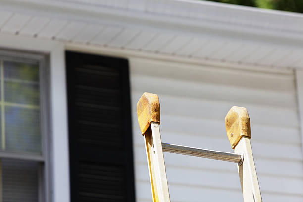 Best Fascia and Soffit Installation  in Greenwood, MS