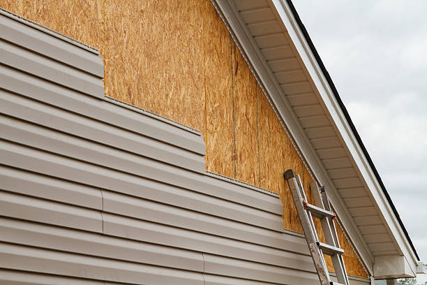 Best Steel Siding Installation  in Greenwood, MS